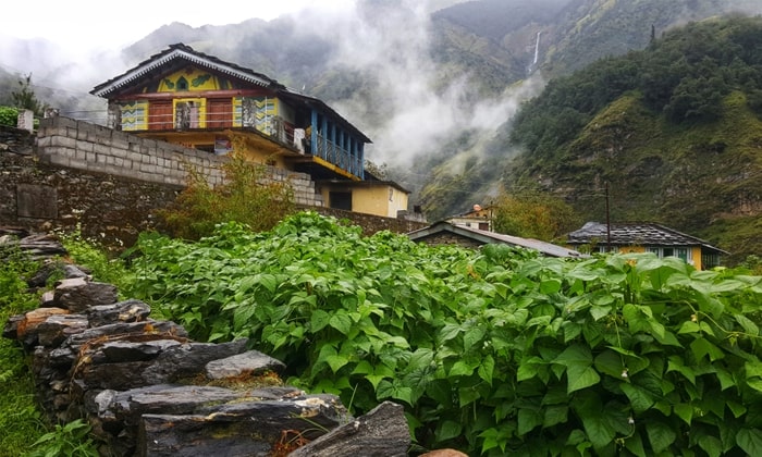 Delicacies of Uttarakhand You Must Try on your Next Trip